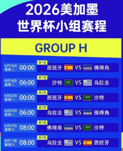 2026世界杯中国官方赛事直播画面