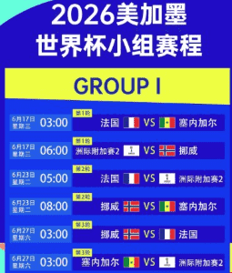 世界杯精彩回放瞬间